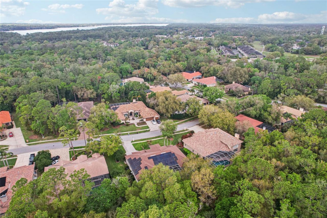 4931 Turtle Creek Trail, Oldsmar, FL 34677 Photo