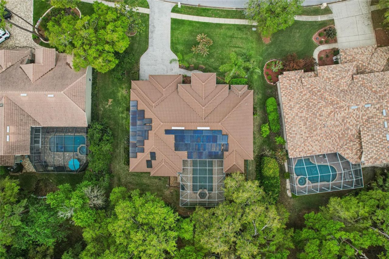 4931 Turtle Creek Trail, Oldsmar, FL 34677 Photo