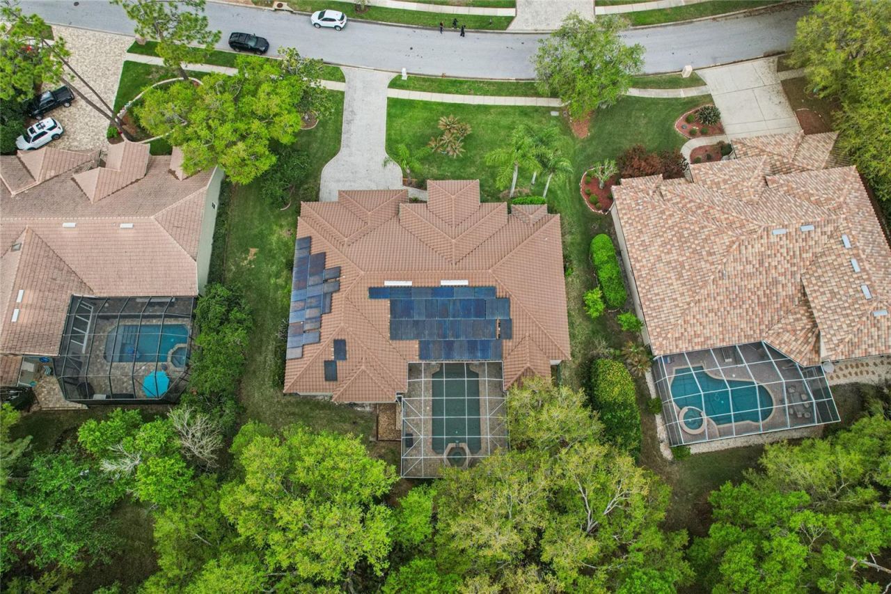 4931 Turtle Creek Trail, Oldsmar, FL 34677 Photo