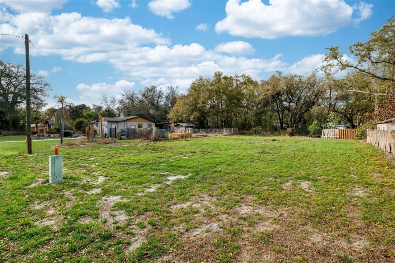 Lake Griffin Road, Lady Lake, FL 32159 Photo