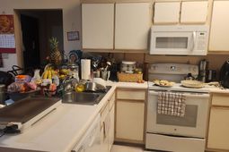 3693 Clay Pond Village Ln. photo 4