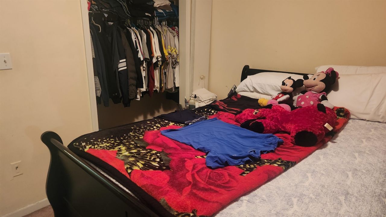 3693 Clay Pond Village Ln. Photo 8