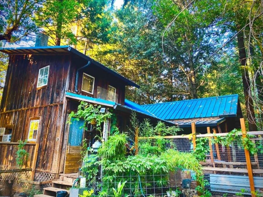 Property Image 6