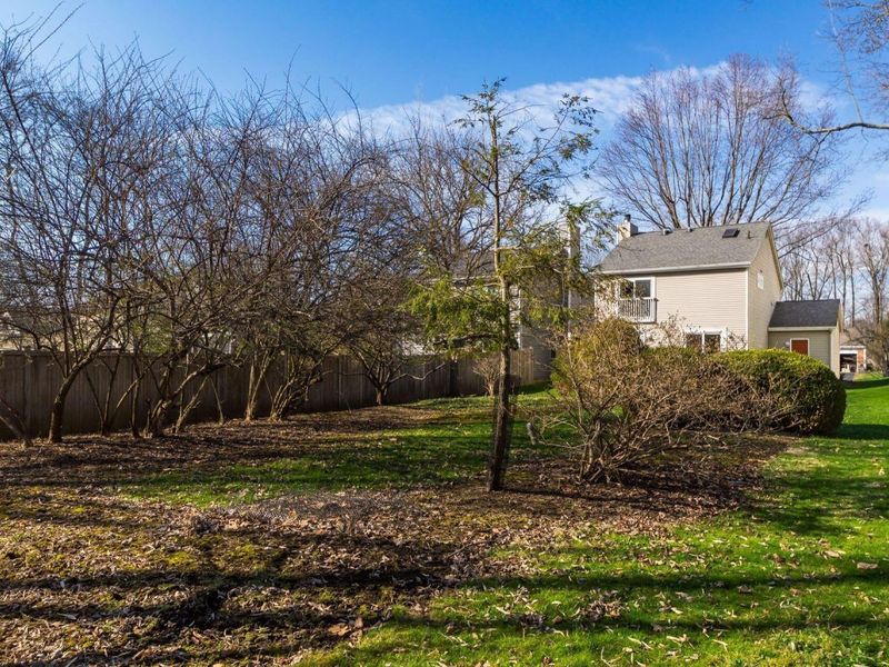 177 Franklin Avenue, Worthington, OH 43085 Photo 37