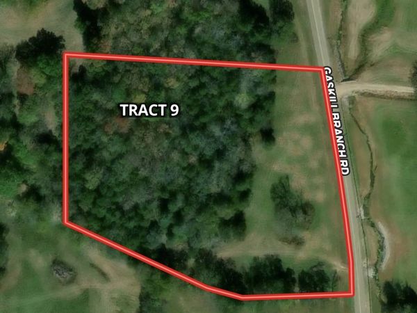 9 Gaskill Branch Rd , Santa Fe, TN 38482