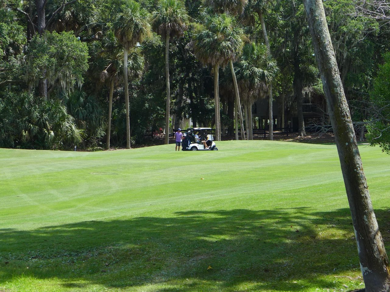 429 Sea Cloud Circle Photo 17