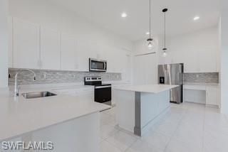 5040 Frattina St , Ave Maria, FL 34142 Photo