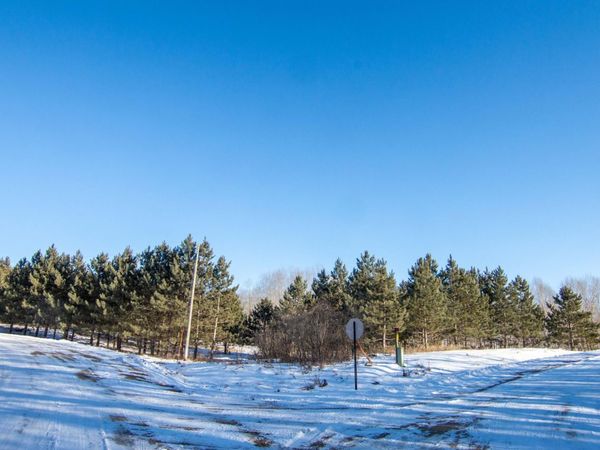 TBD 310th Street , Deer Creek, MN 56527