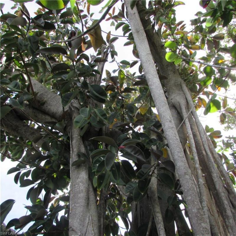 4195 Pine Island Rd Nw, Matlacha, FL 33993 Photo