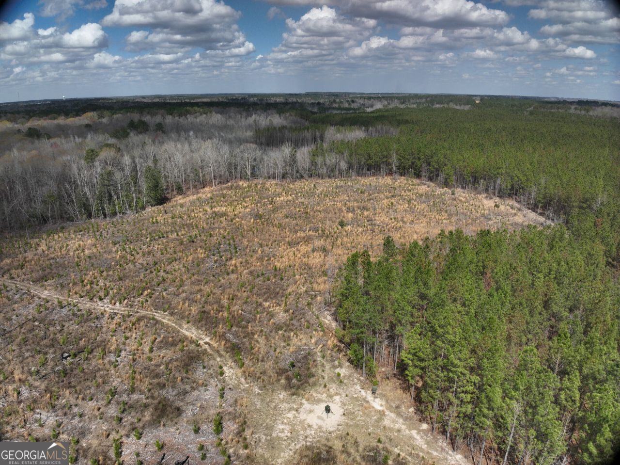 0 Cypress Creek Road, Wrightsville, GA 31096 Main Photo