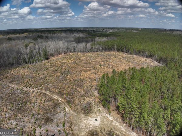 0 Cypress Creek Road, Wrightsville, GA 31096