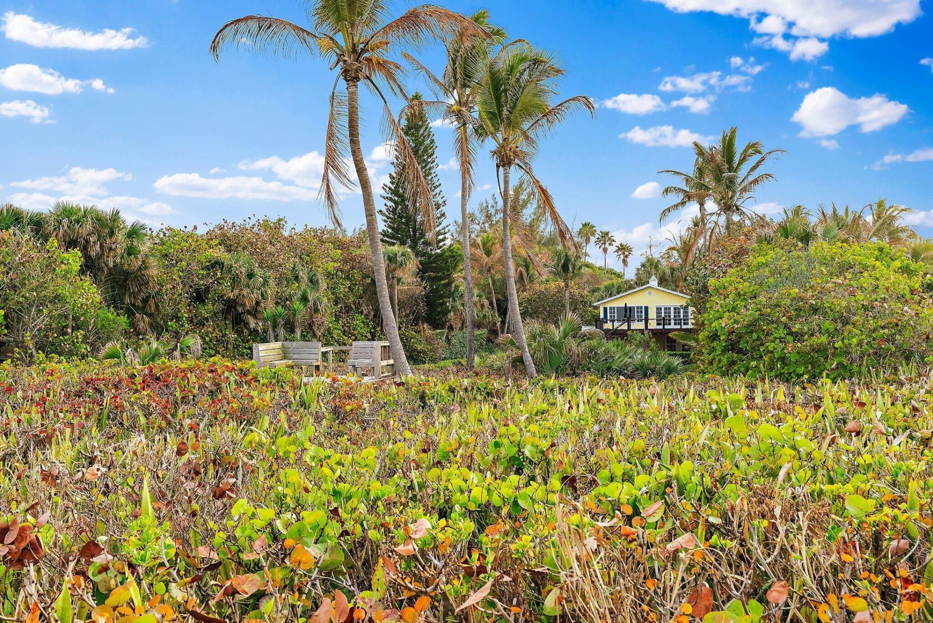 31 N Beach Road, Jupiter Island, FL 33455 Photo