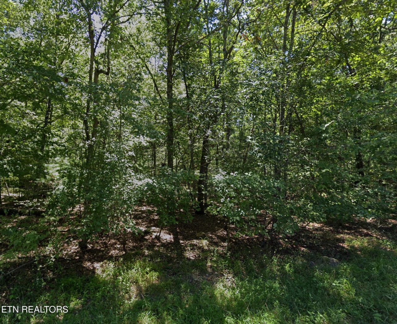 9108 Hondo Drive, Crossville, TN 38572 Main Photo