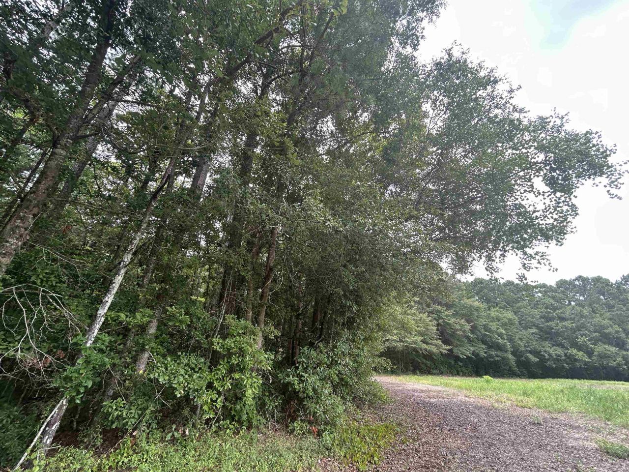 Tbd Johnson Rd. Photo 5