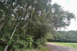 Tbd Johnson Rd. photo 4