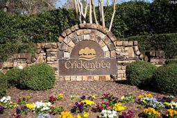 210 Stormycreek Lane  photo 4