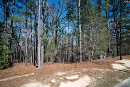 210 Stormycreek Lane  photo 4