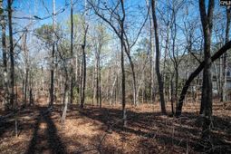 210 Stormycreek Lane  photo 4