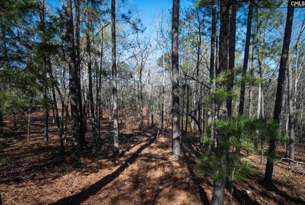 210 Stormycreek Lane  Photo 6