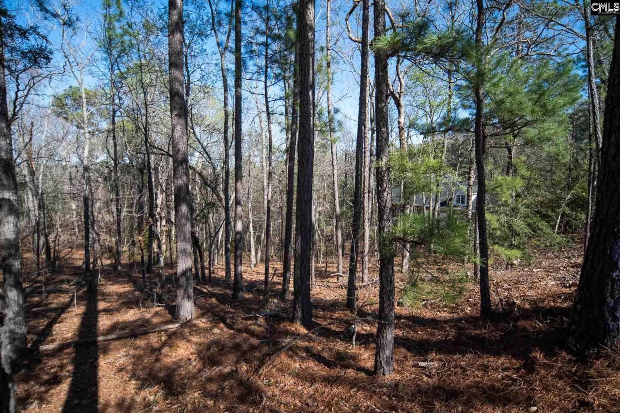 210 Stormycreek Lane  Photo 7