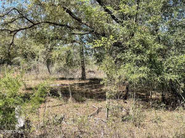 0 Speights Way, Bascom, FL 32423