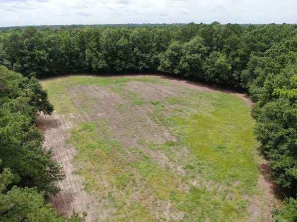 TBD Johnson Rd. , Galivants Ferry, SC 29544