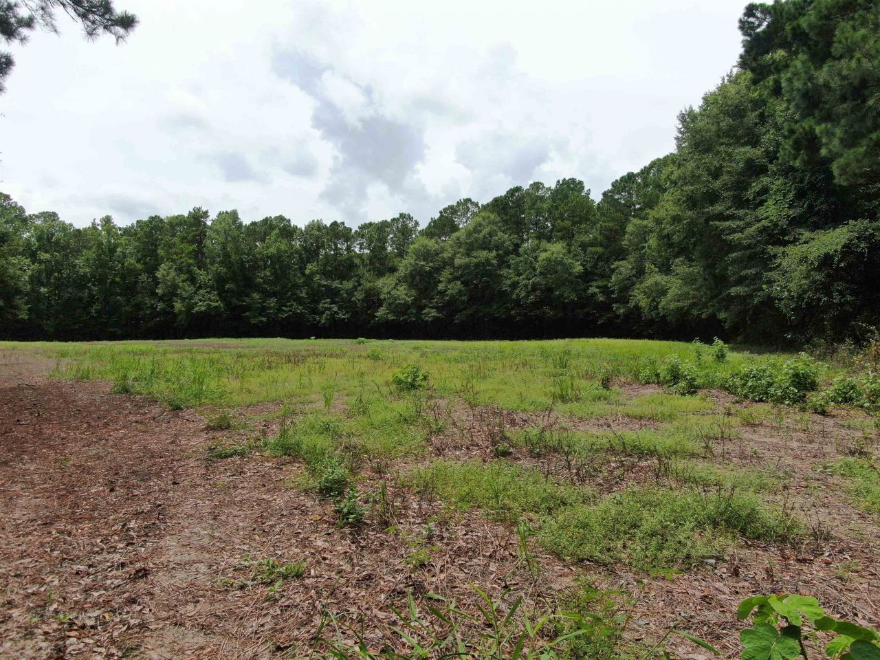 Tbd Johnson Rd. Photo 4