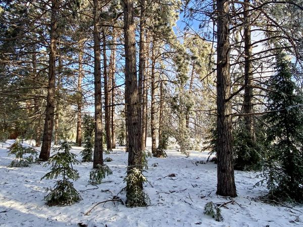 Lots 8-12 Scenic Trail, Gaylord, MI 49735