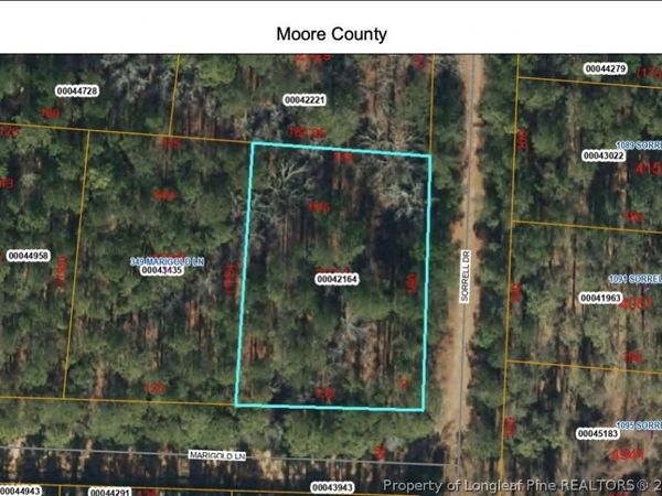 0 Marigold Lane, Vass, NC 28394