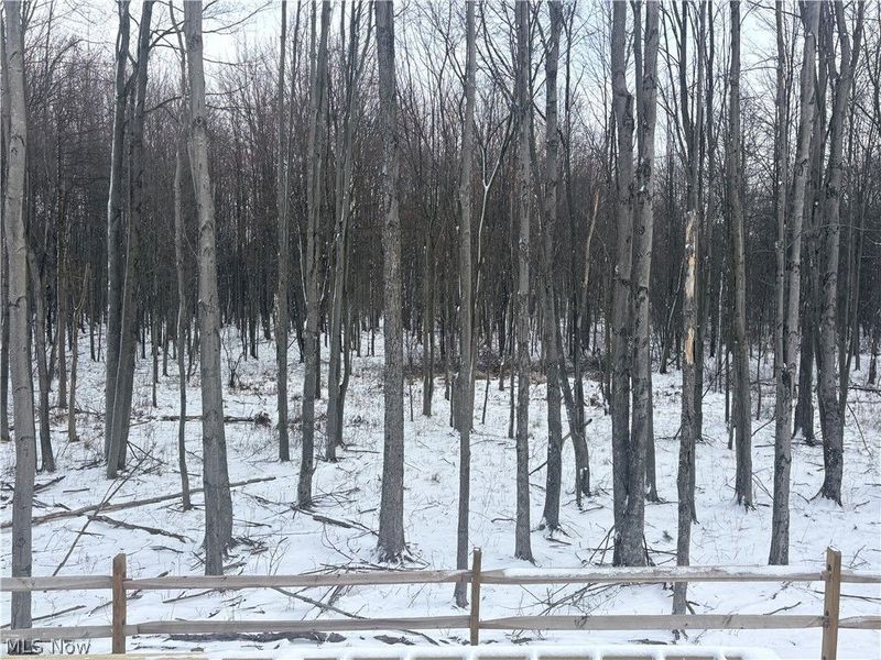 4127 Averi Lane, Orange, OH 44122 Photo 2