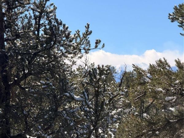 000 41st Trail , Cotopaxi, CO 81223