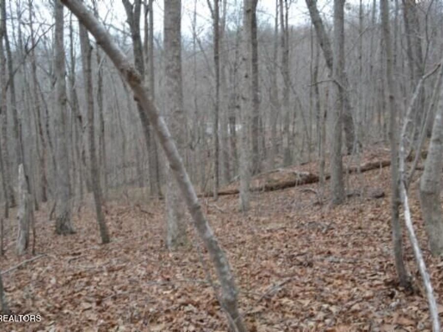 Property Image 18