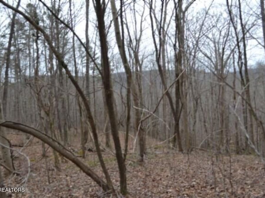 Property Image 25