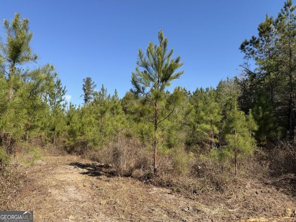 008 Sealy Wells Road, Gordon, AL 36343