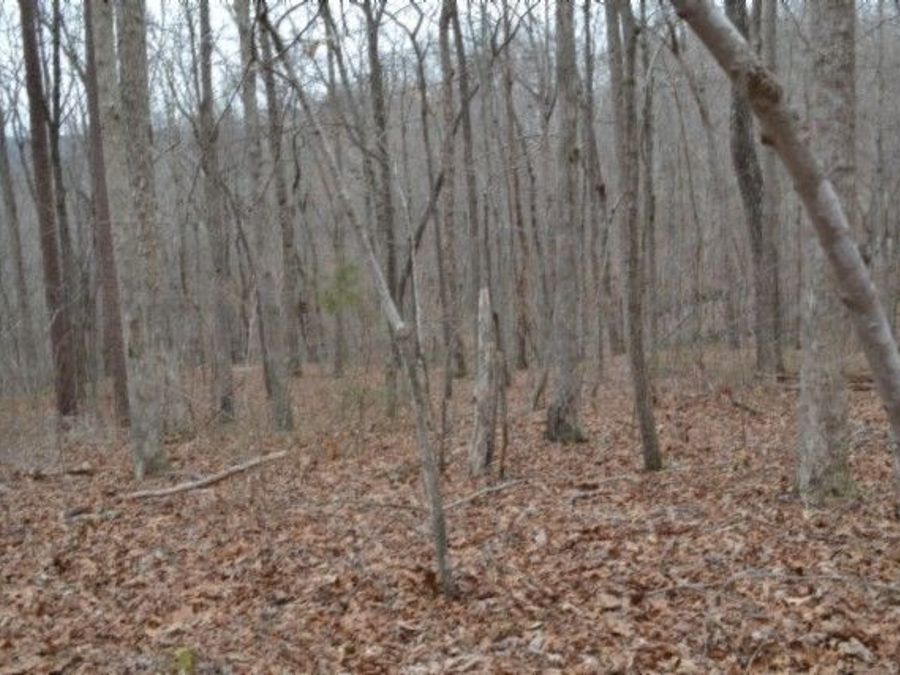 Property Image 17