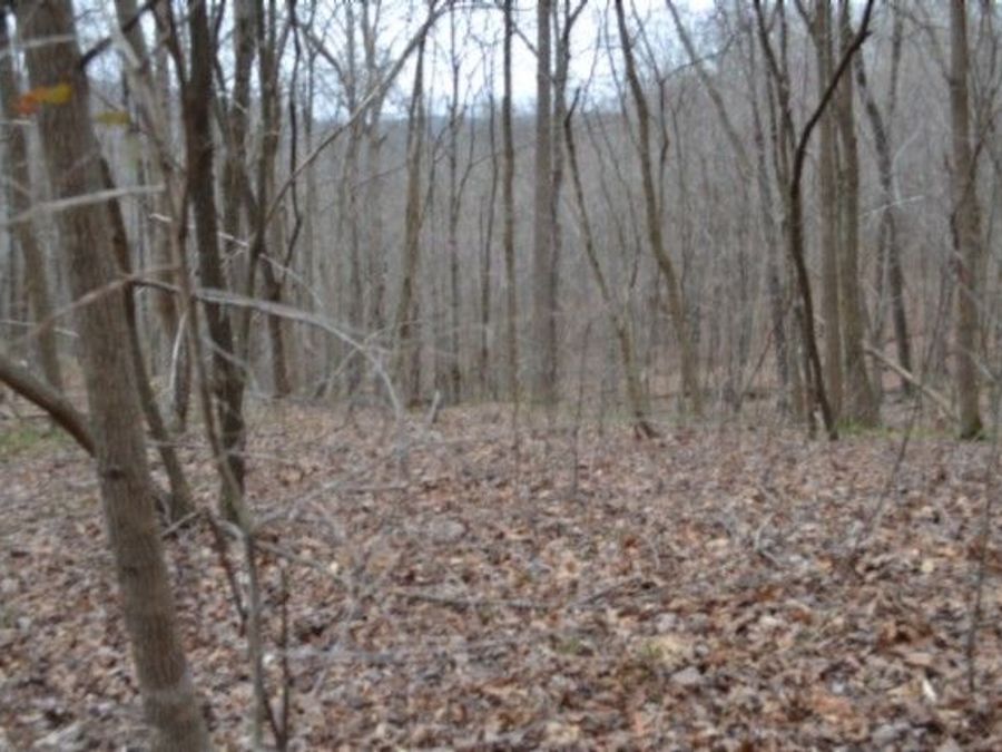 Property Image 25