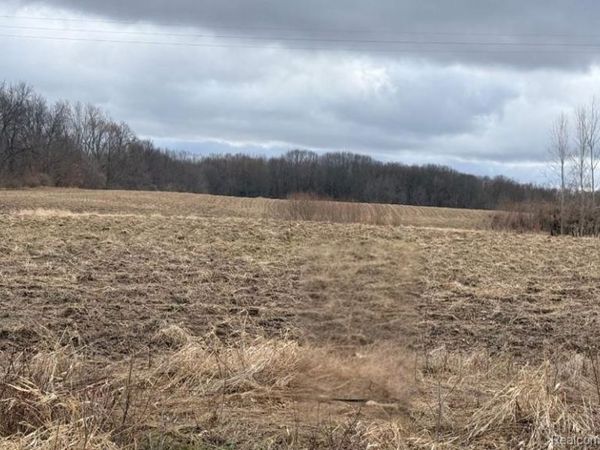 00 E Allen Road, Oceola Twp, MI 48855