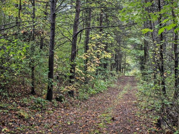 V/L Collier Ave Avenue, Battle Creek, MI 49017