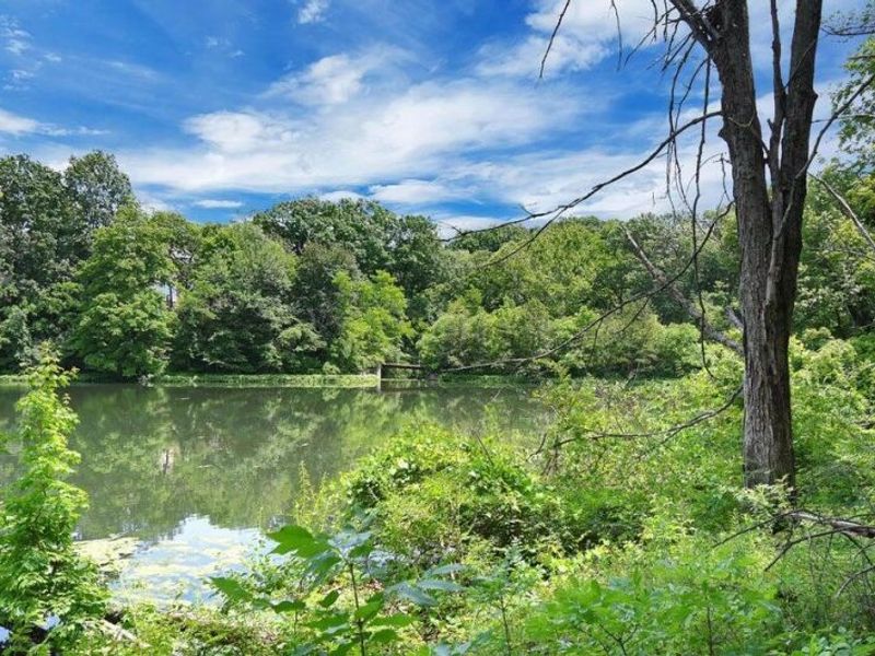 1041 Bluffway Drive, Columbus, OH 43235 Photo 34