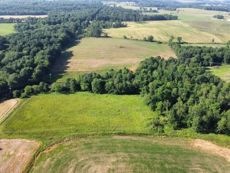 15150 Smith Road, Wellsville, OH 43968 Photo 3