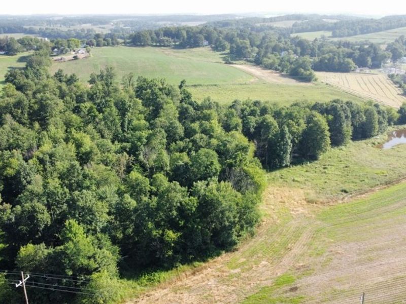 15150 Smith Road, Wellsville, OH 43968 Photo 4