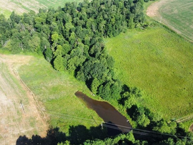 15150 Smith Road, Wellsville, OH 43968 Photo 6