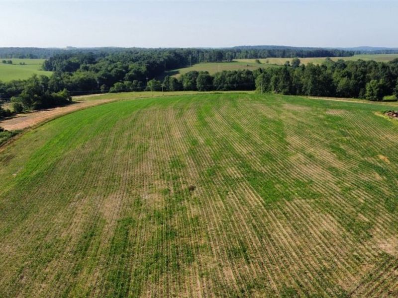 15150 Smith Road, Wellsville, OH 43968 Photo 7