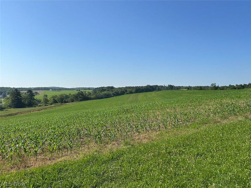 15150 Smith Road, Wellsville, OH 43968 Photo 8