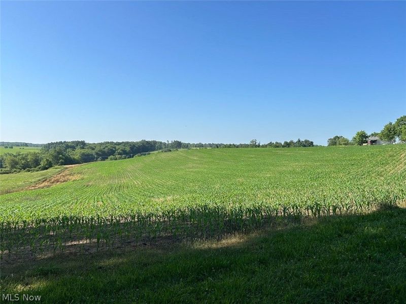 15150 Smith Road, Wellsville, OH 43968 Photo 9