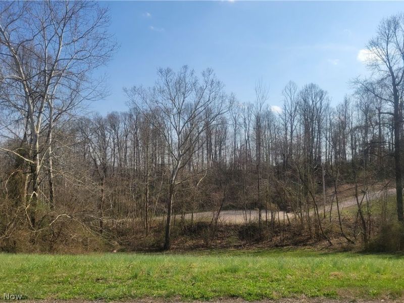 Spring Street, Beverly, OH 45715 Photo 2