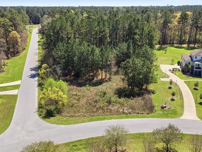 1313 Wood Sorrel Drive, Moncks Corner, SC 29461