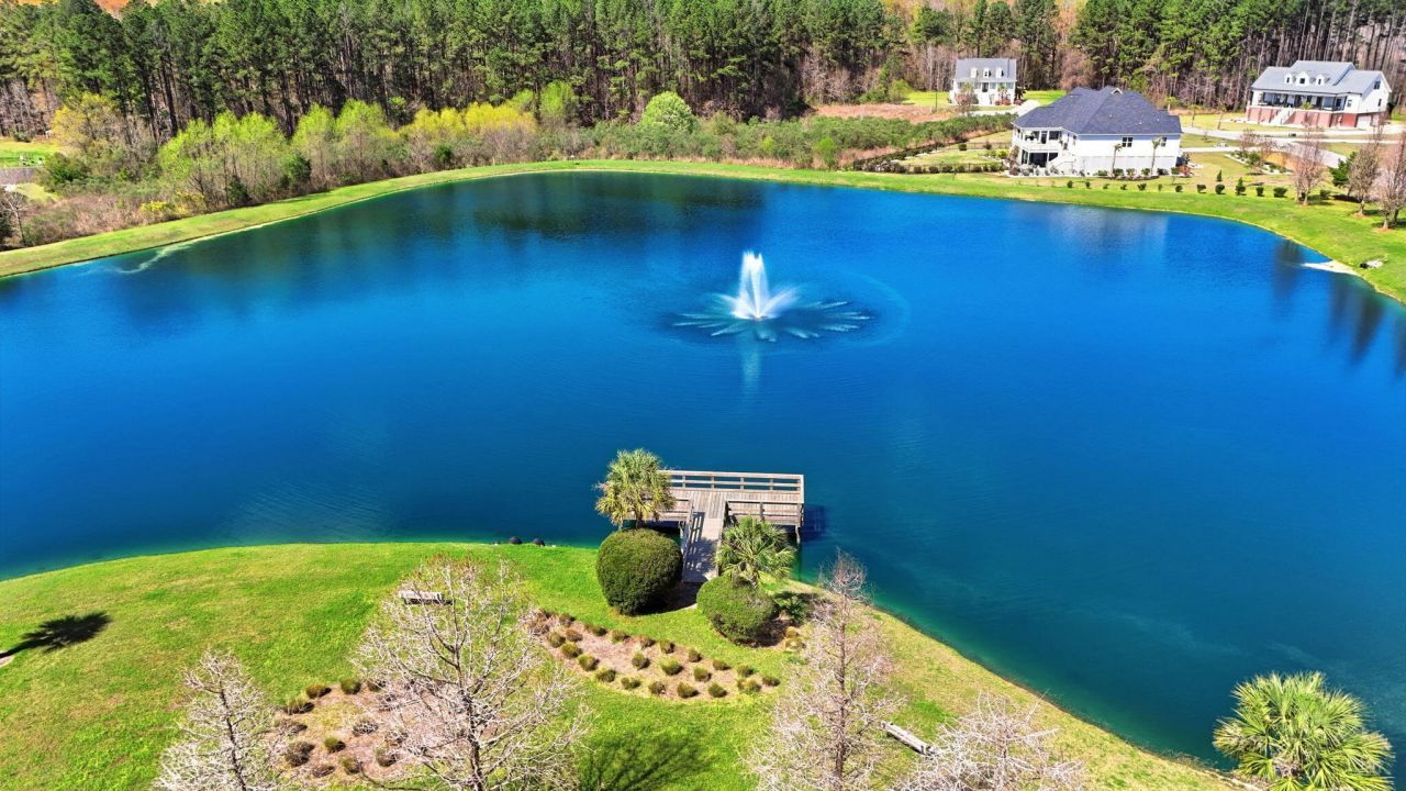 1313 Wood Sorrel Drive Photo 10