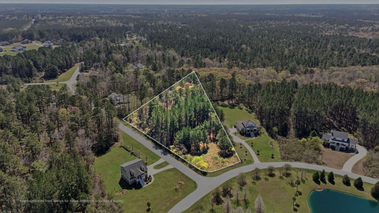 1313 Wood Sorrel Drive Photo 4