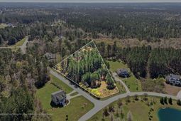 1313 Wood Sorrel Drive photo 4